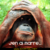 Vous Dormez Ou Quoi!